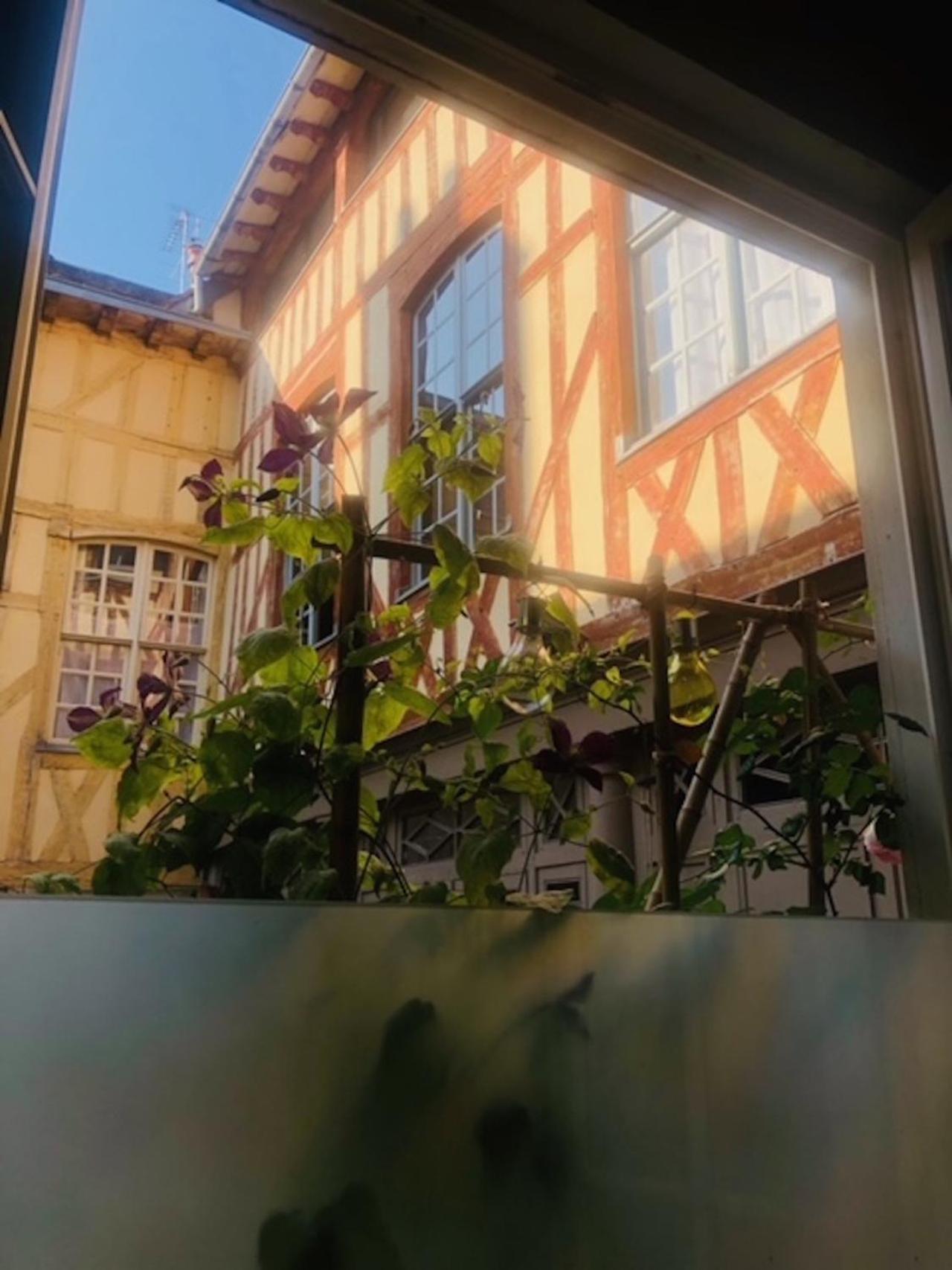 Apartamento Atelier Des Glycines, Troyes Bouchon De Champagne, Sublime Site Patrimonial Exterior foto