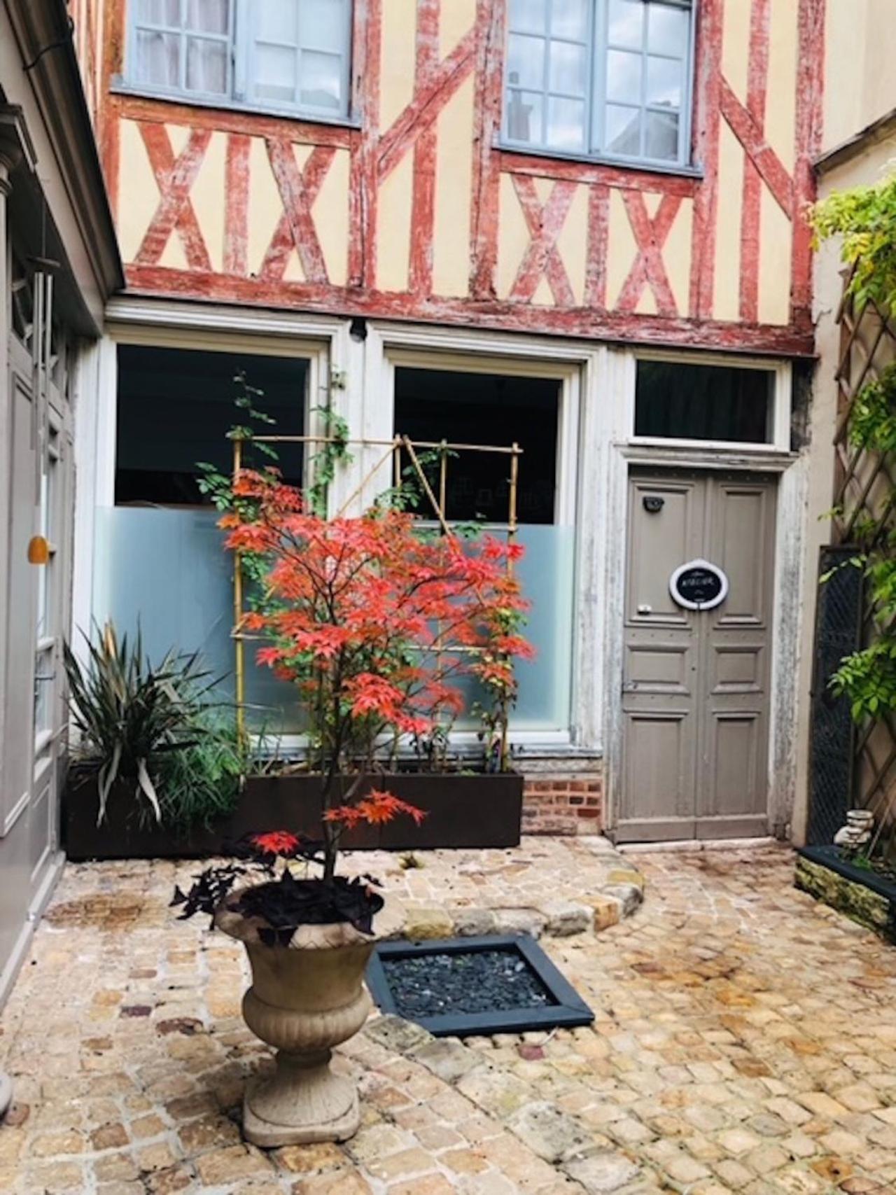 Apartamento Atelier Des Glycines, Troyes Bouchon De Champagne, Sublime Site Patrimonial Exterior foto